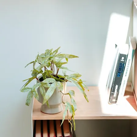 Elma 2 - Piata Romana شقة *