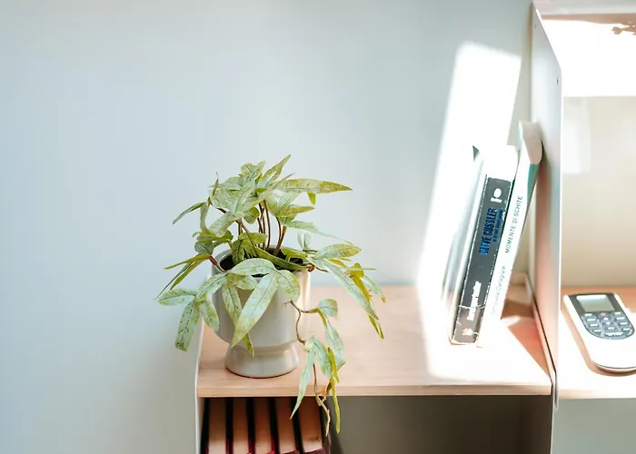 Elma 2 - Piata Romana Apartamento *